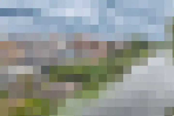 Bermweg 272 Capelle aan den IJssel thumbnail 60