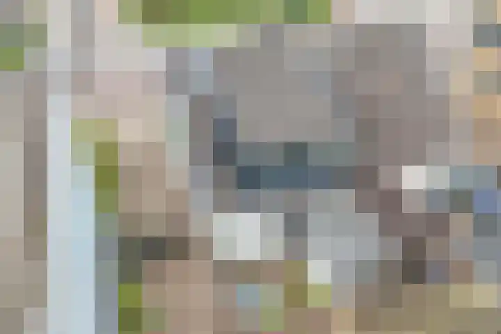 Bermweg 272 Capelle aan den IJssel thumbnail 61