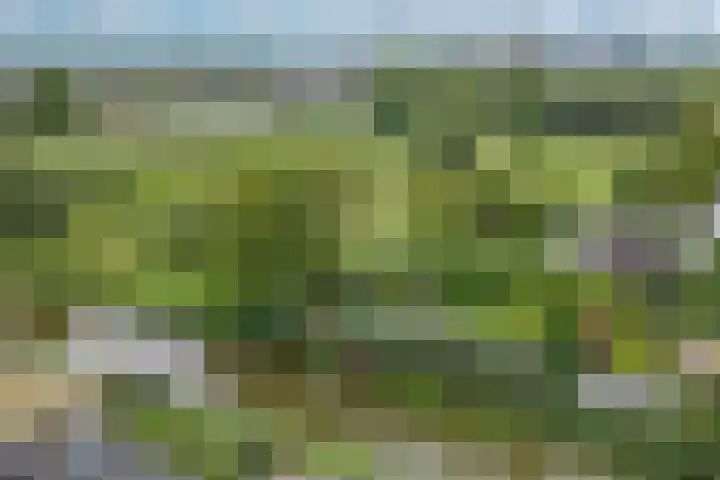Bermweg 272 Capelle aan den IJssel thumbnail 63