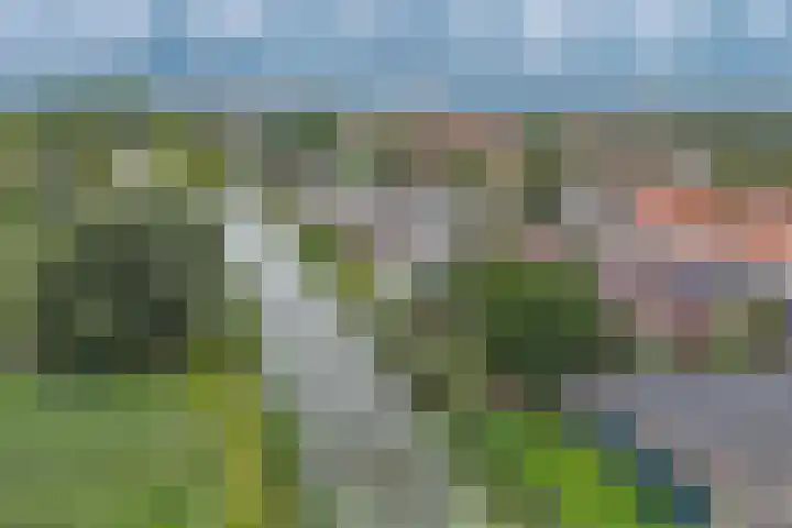 Bermweg 272 Capelle aan den IJssel thumbnail 64