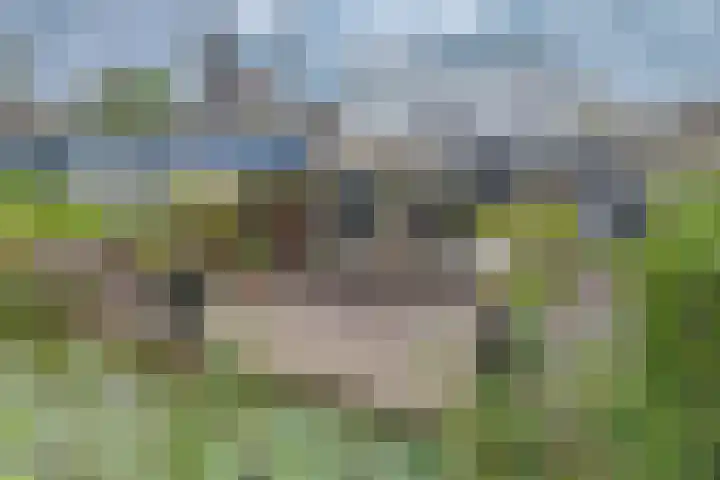 Bermweg 272 Capelle aan den IJssel thumbnail 65