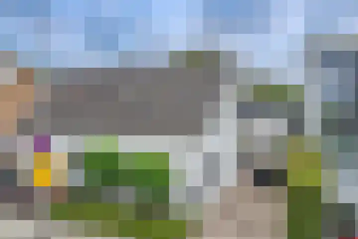 Bermweg 272 Capelle aan den IJssel thumbnail 70