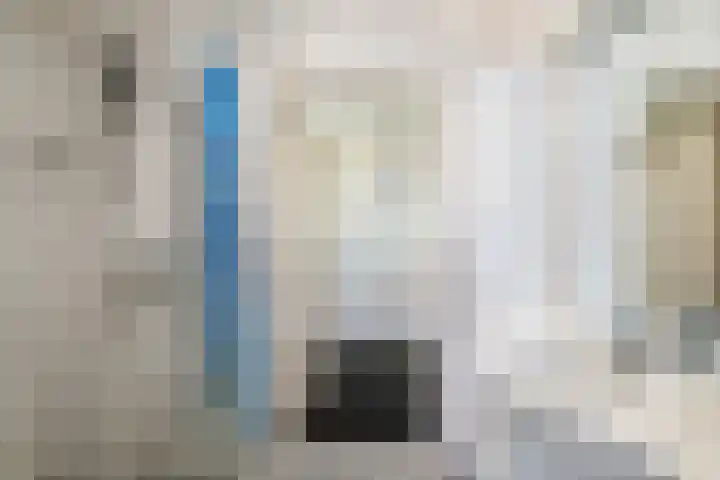 Bermweg 28 Nieuwerkerk aan den IJssel thumbnail 12