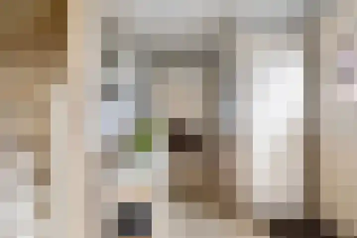 Bermweg 28 Nieuwerkerk aan den IJssel thumbnail 17