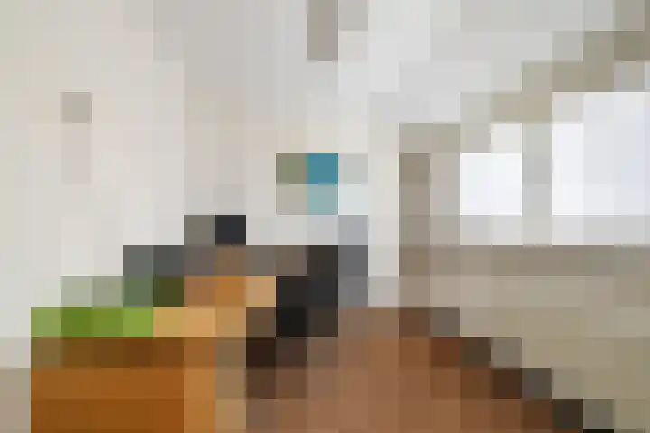 Bermweg 28 Nieuwerkerk aan den IJssel thumbnail 24