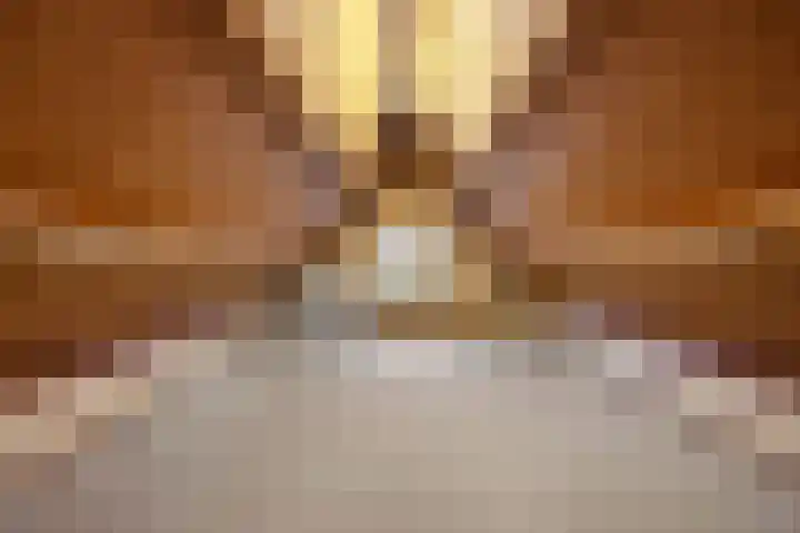 Bermweg 28 Nieuwerkerk aan den IJssel thumbnail 28
