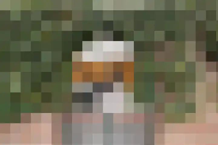 Bermweg 28 Nieuwerkerk aan den IJssel thumbnail 31