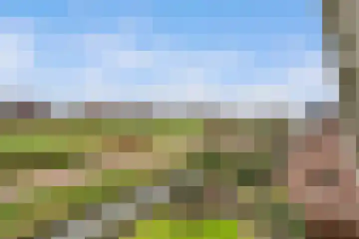 Bermweg 28 Nieuwerkerk aan den IJssel thumbnail 33