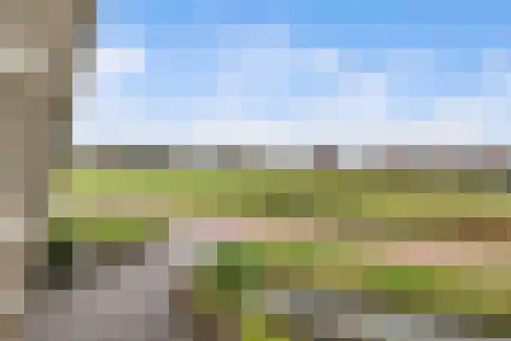 Bermweg 28 Nieuwerkerk aan den IJssel thumbnail 34