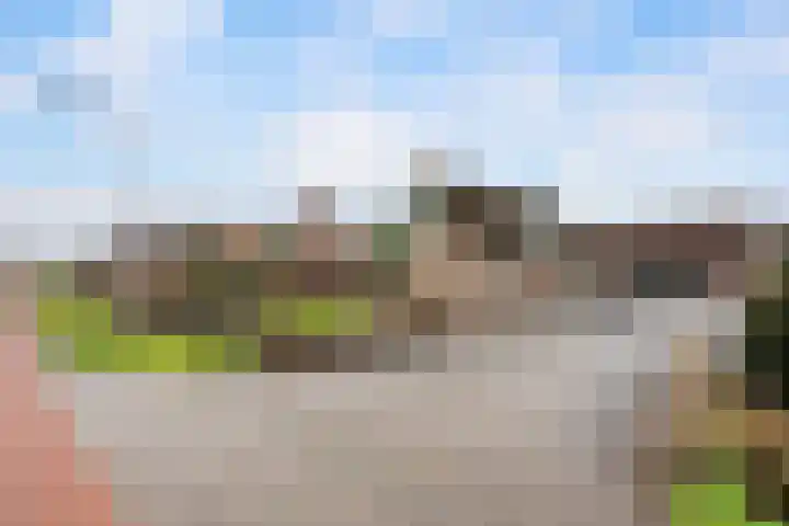 Bermweg 28 Nieuwerkerk aan den IJssel thumbnail 35