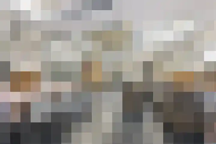Bermweg 28 Nieuwerkerk aan den IJssel thumbnail 38