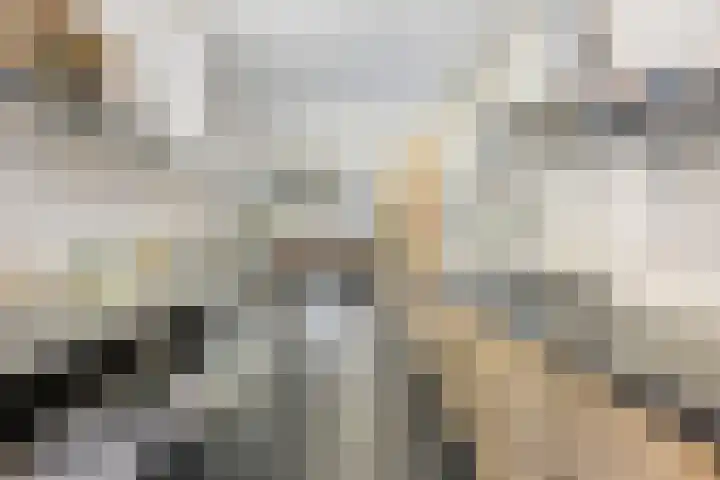 Bermweg 28 Nieuwerkerk aan den IJssel thumbnail 39
