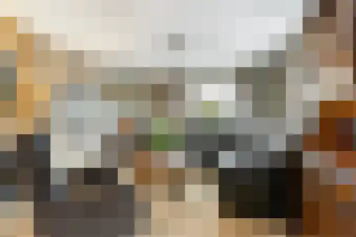 Bermweg 28 Nieuwerkerk aan den IJssel thumbnail 5