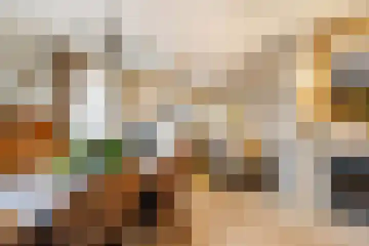 Bermweg 28 Nieuwerkerk aan den IJssel thumbnail 6