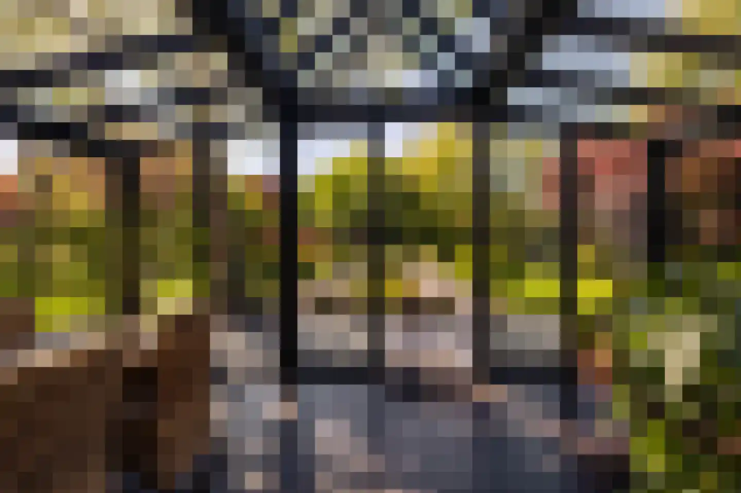 Bermweg 30 Rotterdam thumbnail 12