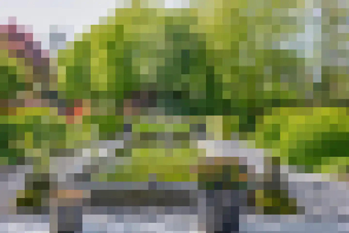 Bermweg 30 Rotterdam thumbnail 20
