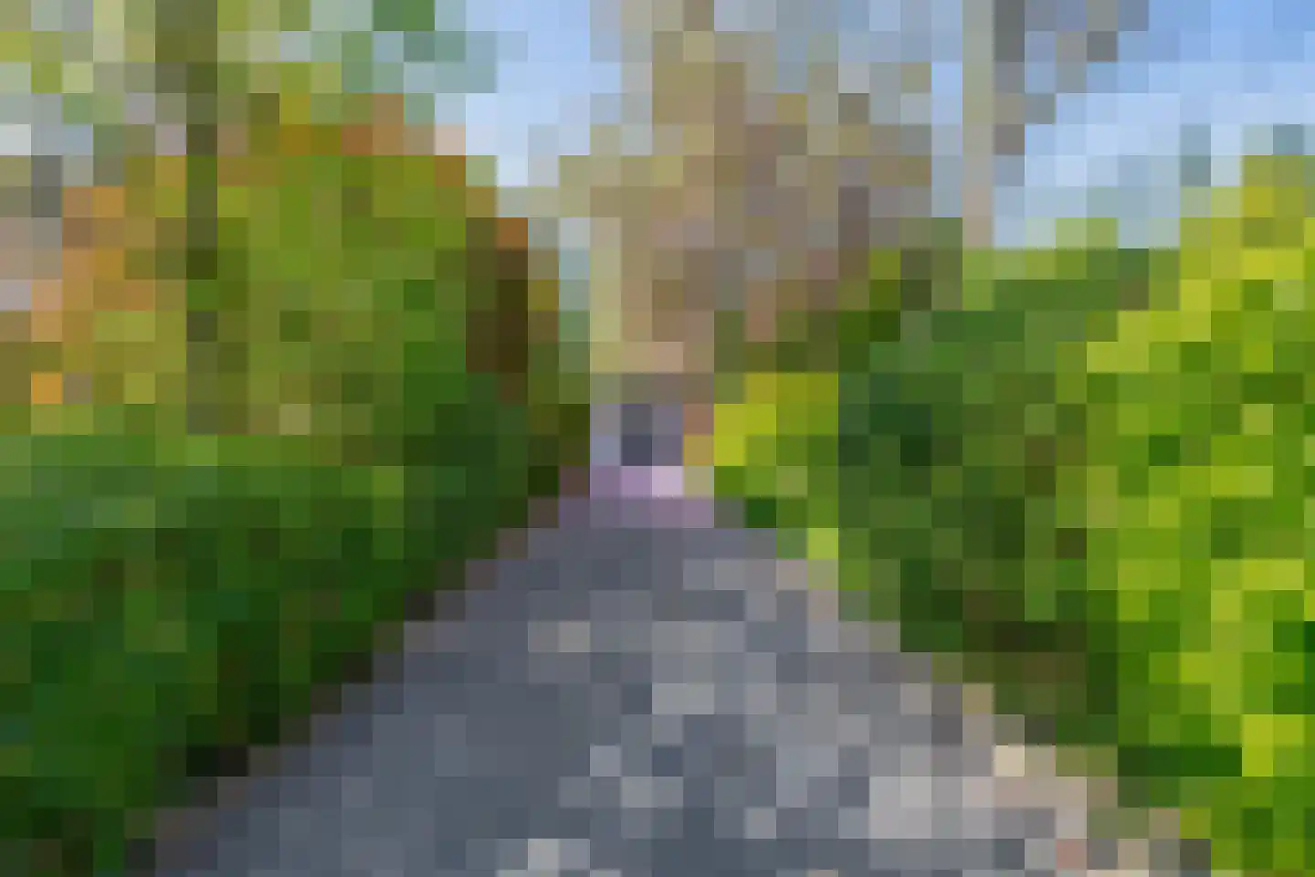 Bermweg 30 Rotterdam thumbnail 30