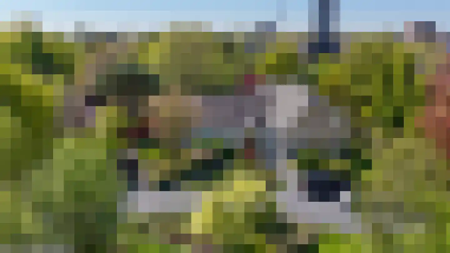 Bermweg 30 Rotterdam thumbnail 34