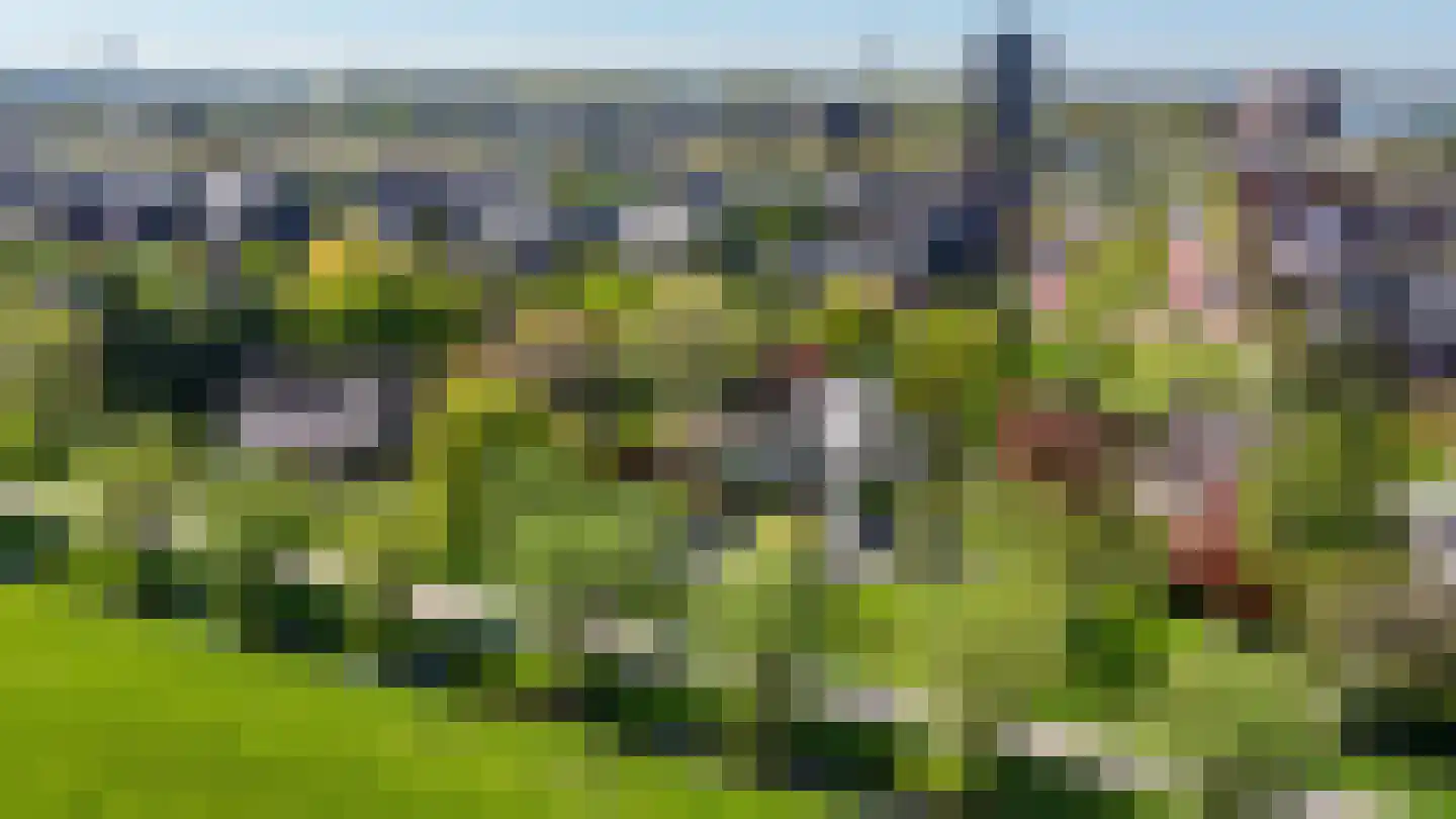 Bermweg 30 Rotterdam thumbnail 35