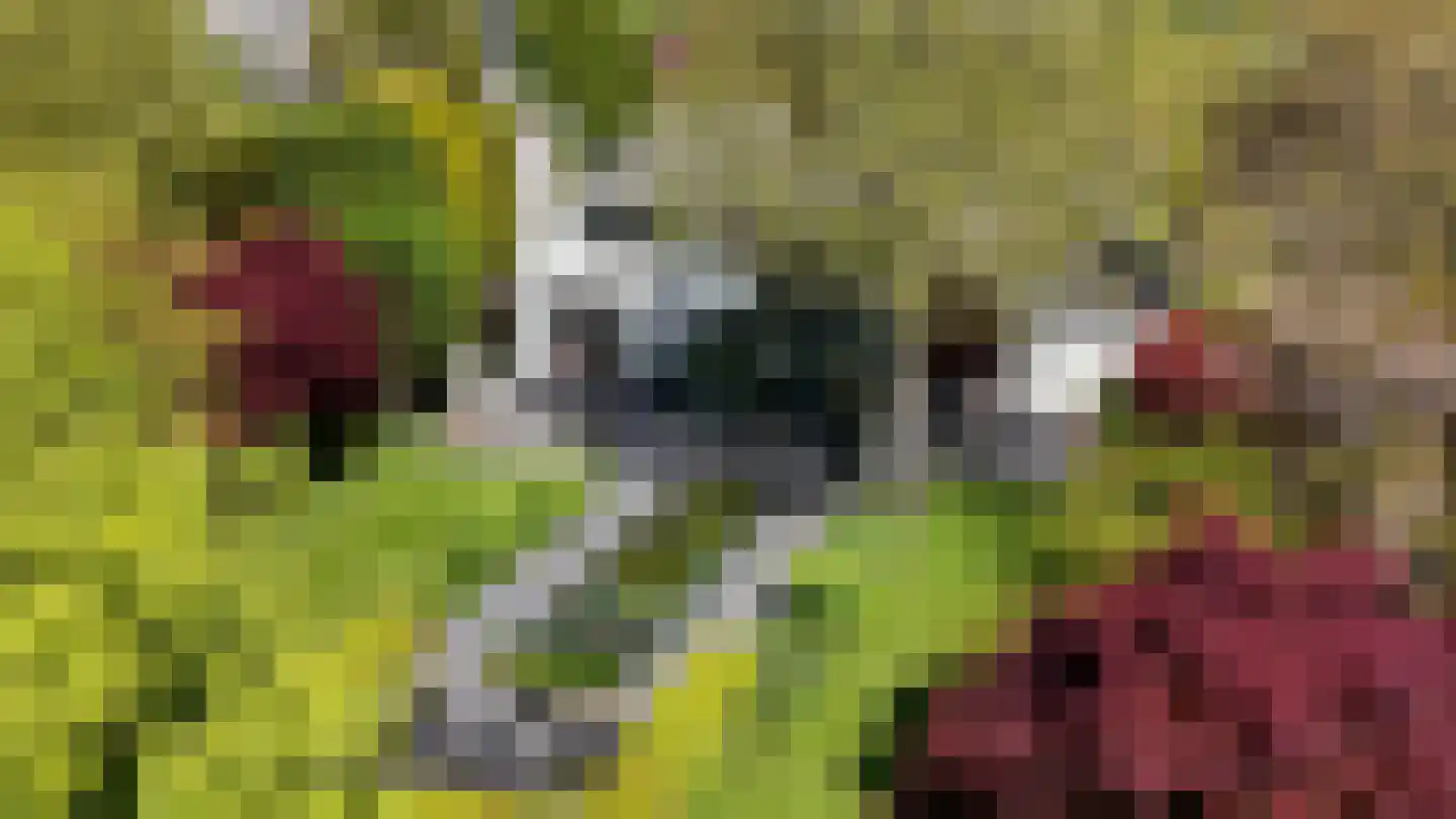 Bermweg 30 Rotterdam thumbnail 37