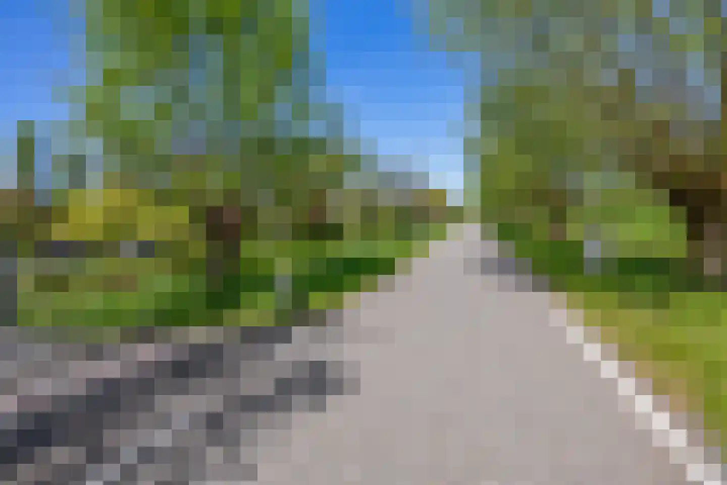 Bermweg 30 Rotterdam thumbnail 4