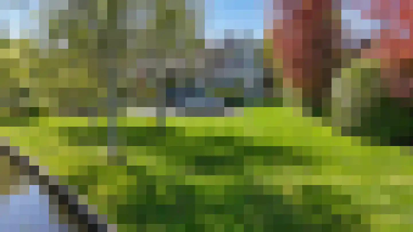 Bermweg 30 Rotterdam thumbnail 6