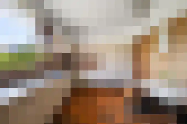 Bermweg 31 Nieuwerkerk aan den IJssel thumbnail 17