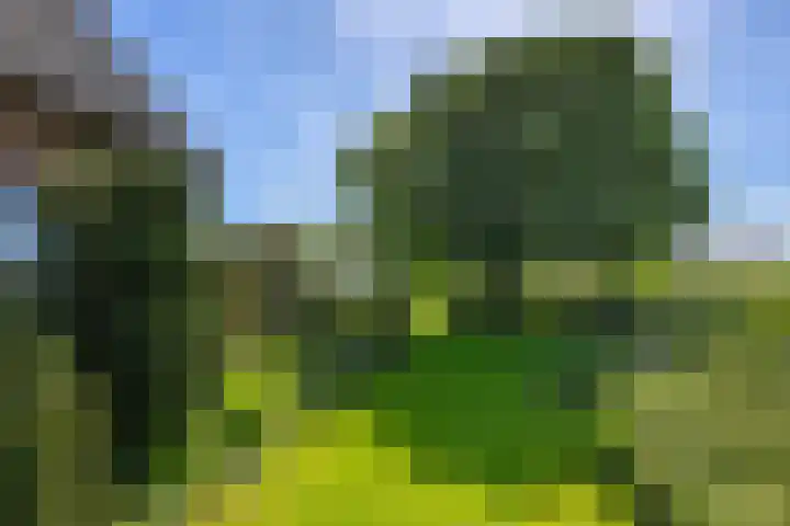 Bermweg 31 Nieuwerkerk aan den IJssel thumbnail 36