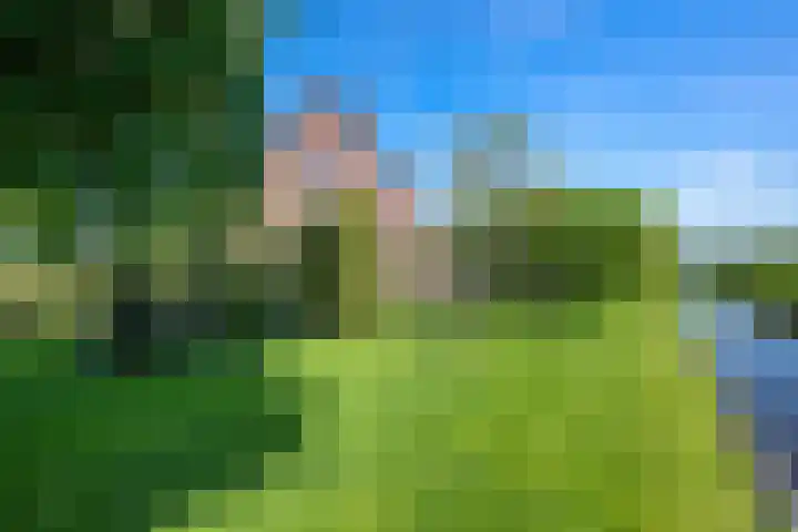 Bermweg 31 Nieuwerkerk aan den IJssel thumbnail 38