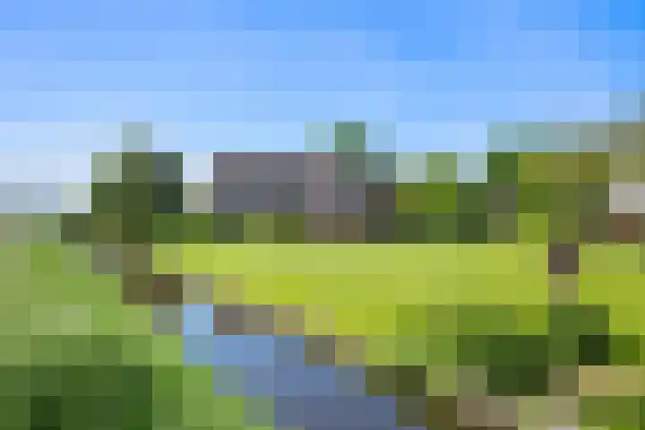 Bermweg 31 Nieuwerkerk aan den IJssel thumbnail 4