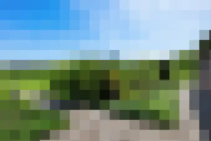 Bermweg 31 Nieuwerkerk aan den IJssel thumbnail 41
