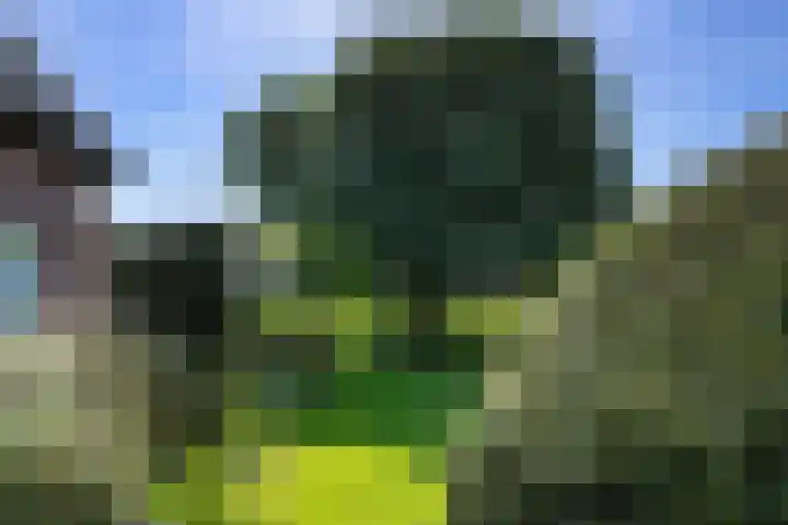 Bermweg 31 Nieuwerkerk aan den IJssel thumbnail 46