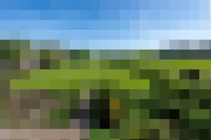 Bermweg 31 Nieuwerkerk aan den IJssel thumbnail 5