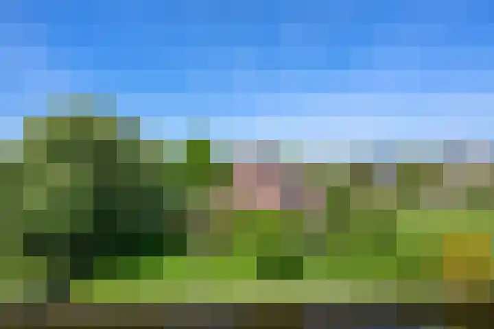 Bermweg 31 Nieuwerkerk aan den IJssel thumbnail 6