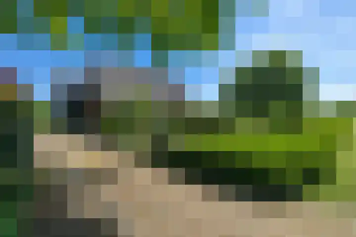 Bermweg 31 Nieuwerkerk aan den IJssel thumbnail 7