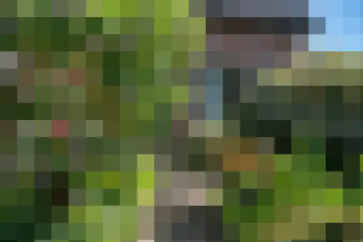 Bermweg 31 Nieuwerkerk aan den IJssel thumbnail 8