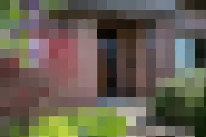 Bermweg 31 Nieuwerkerk aan den IJssel thumbnail 9