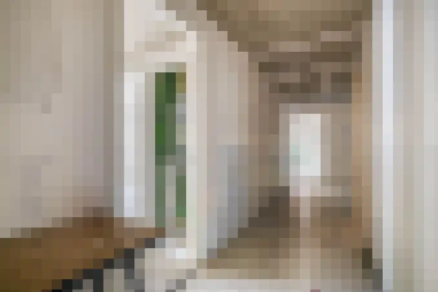 Bermweg 310 C Capelle aan den IJssel thumbnail 6
