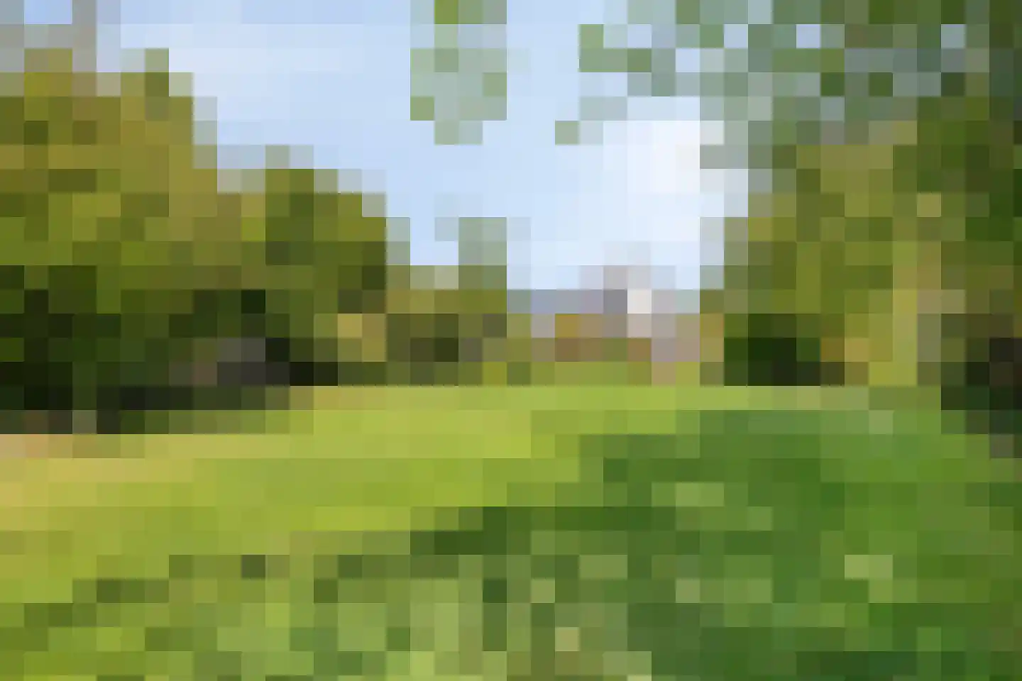 Bermweg 34 Rotterdam thumbnail 43