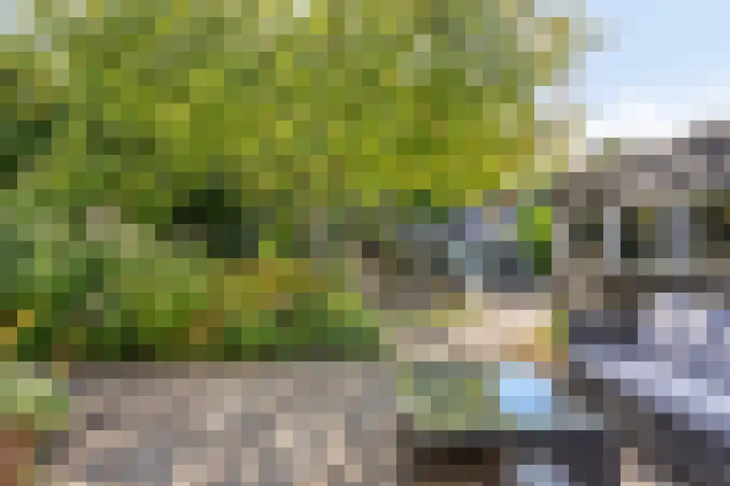 Bermweg 34 Rotterdam thumbnail 46