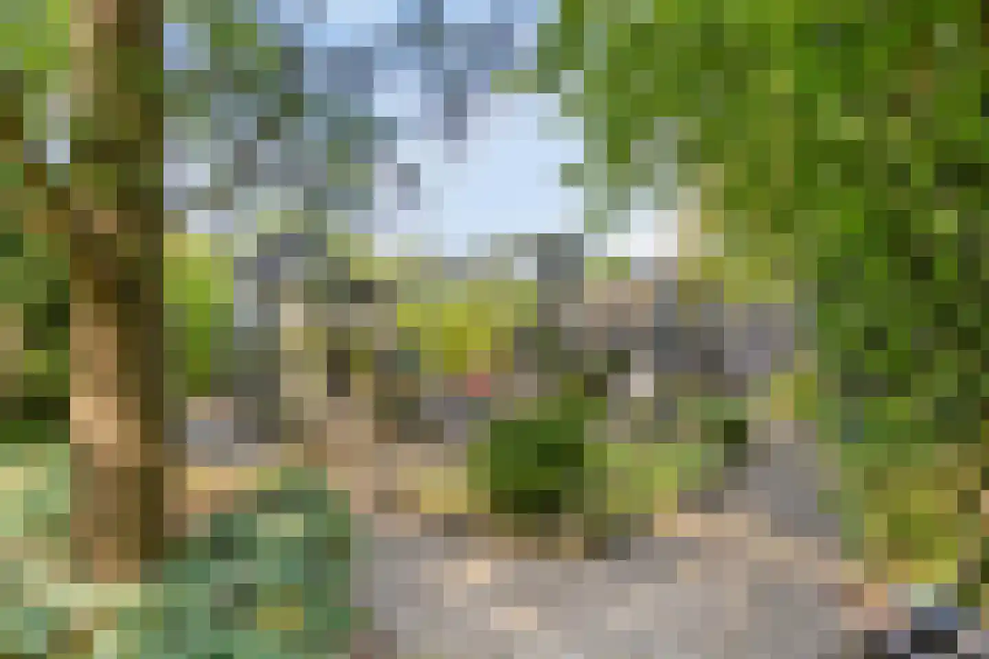 Bermweg 34 Rotterdam thumbnail 47