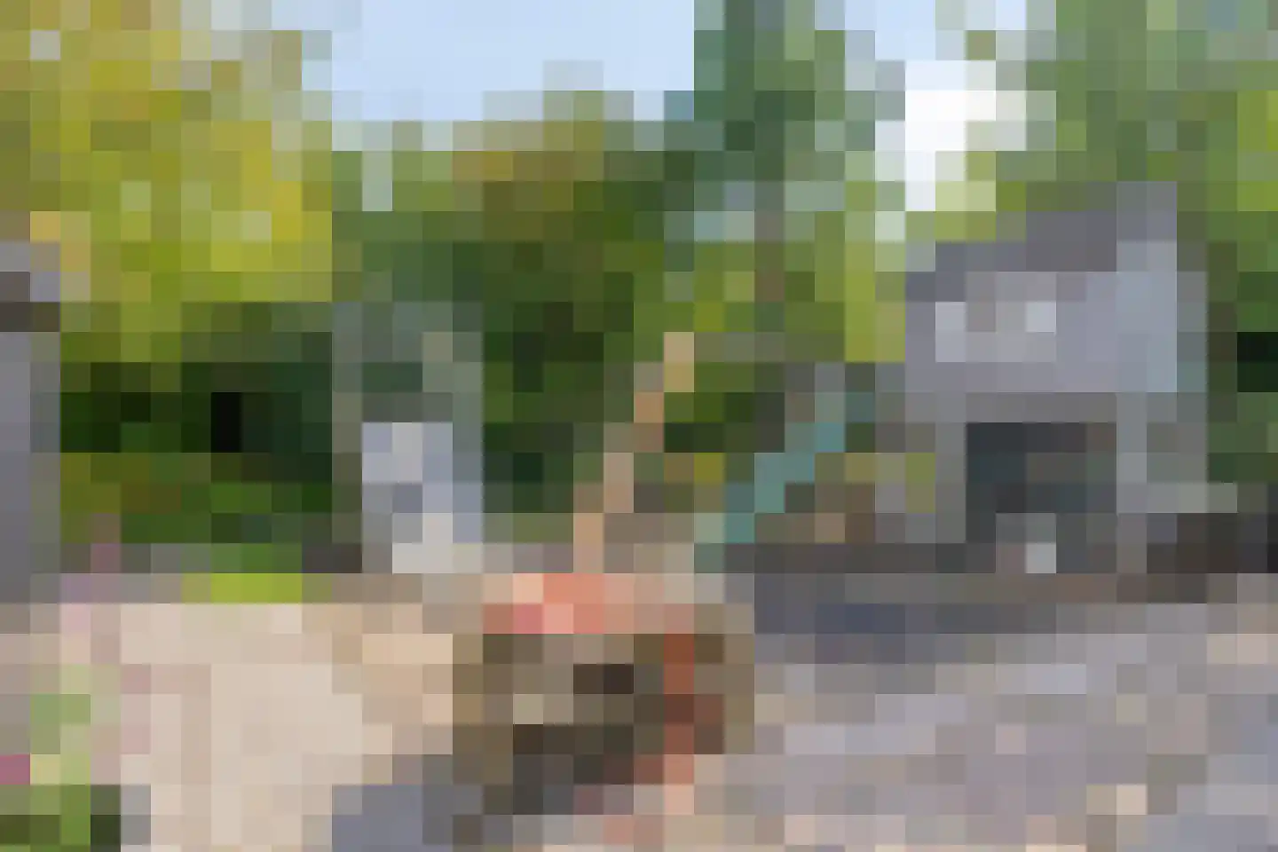 Bermweg 34 Rotterdam thumbnail 48