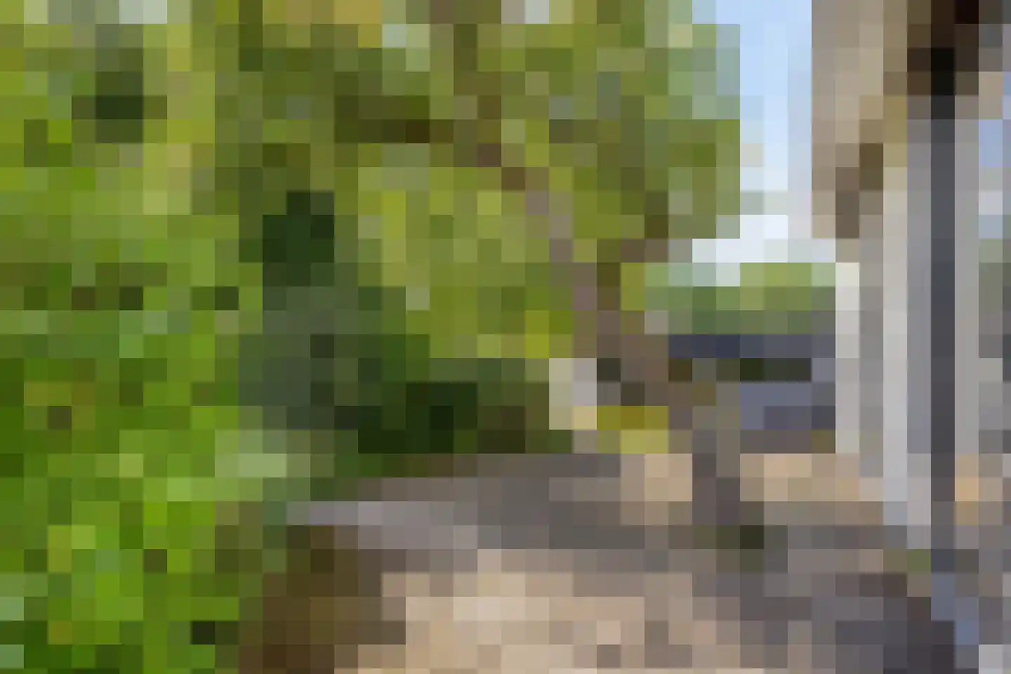 Bermweg 34 Rotterdam thumbnail 49