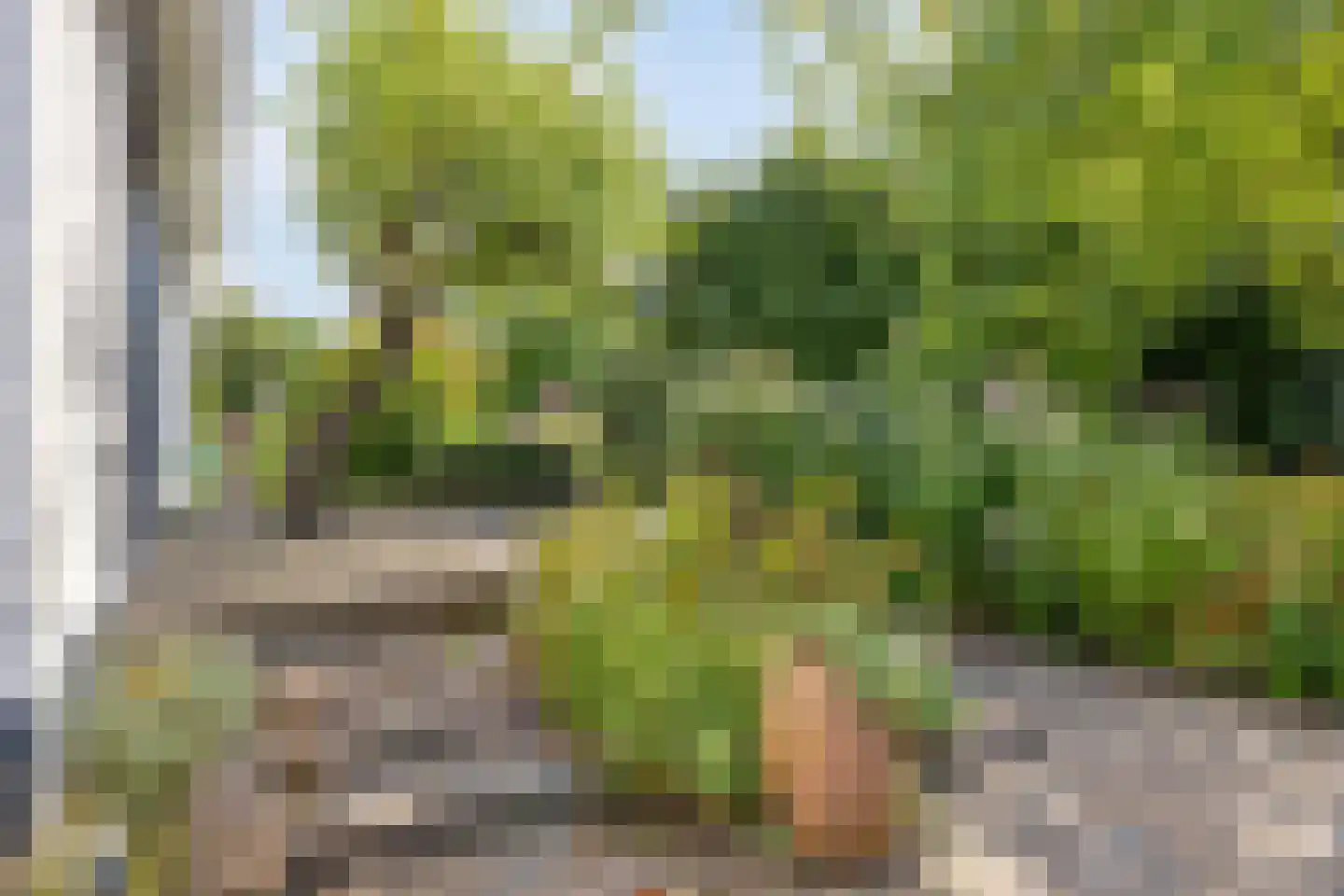 Bermweg 34 Rotterdam thumbnail 51