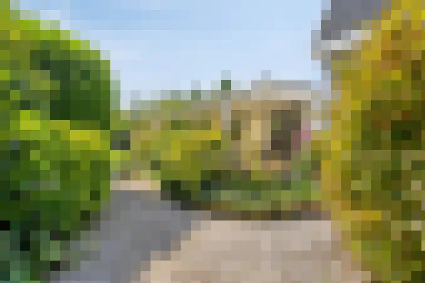 Bermweg 34 Rotterdam thumbnail 54