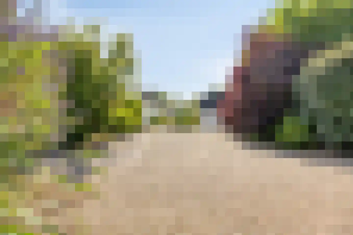 Bermweg 34 Rotterdam thumbnail 56