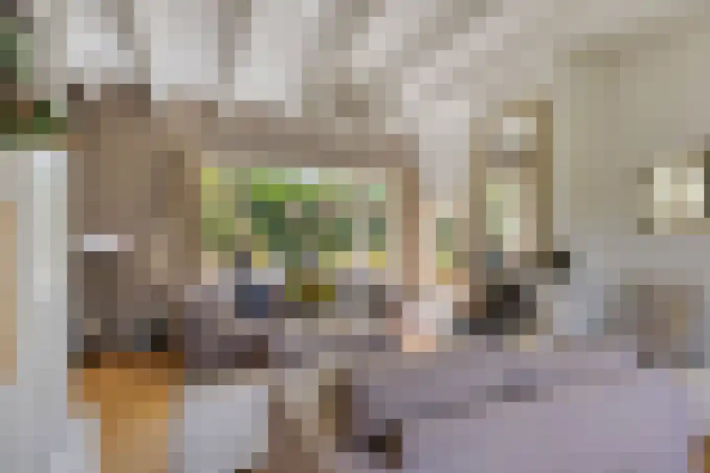Bermweg 34 Rotterdam thumbnail 6