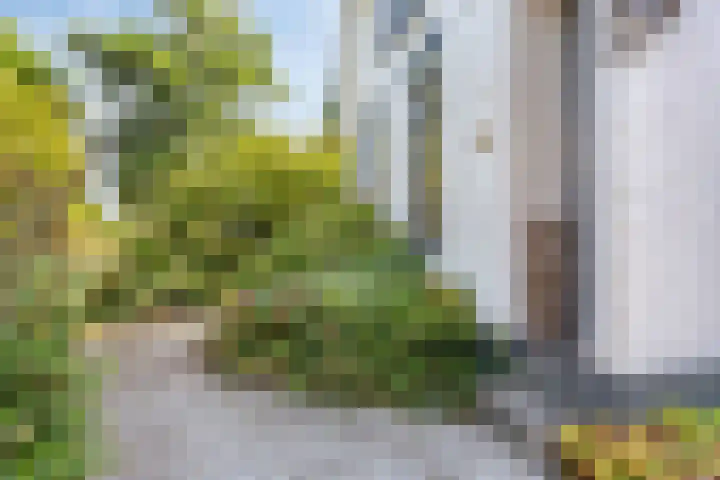 Bermweg 34 Rotterdam thumbnail 61