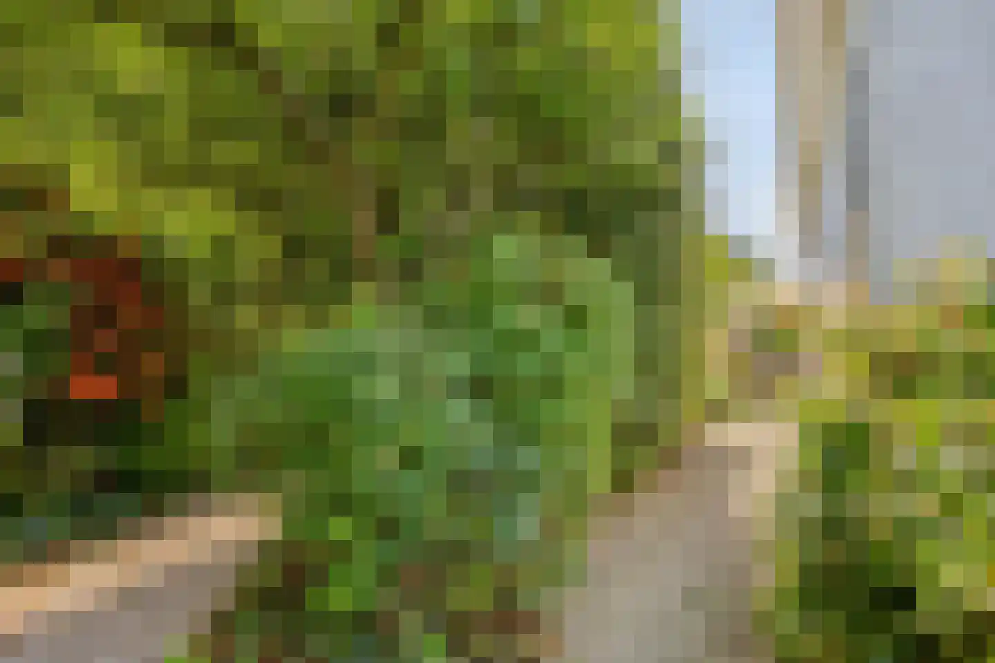 Bermweg 34 Rotterdam thumbnail 62