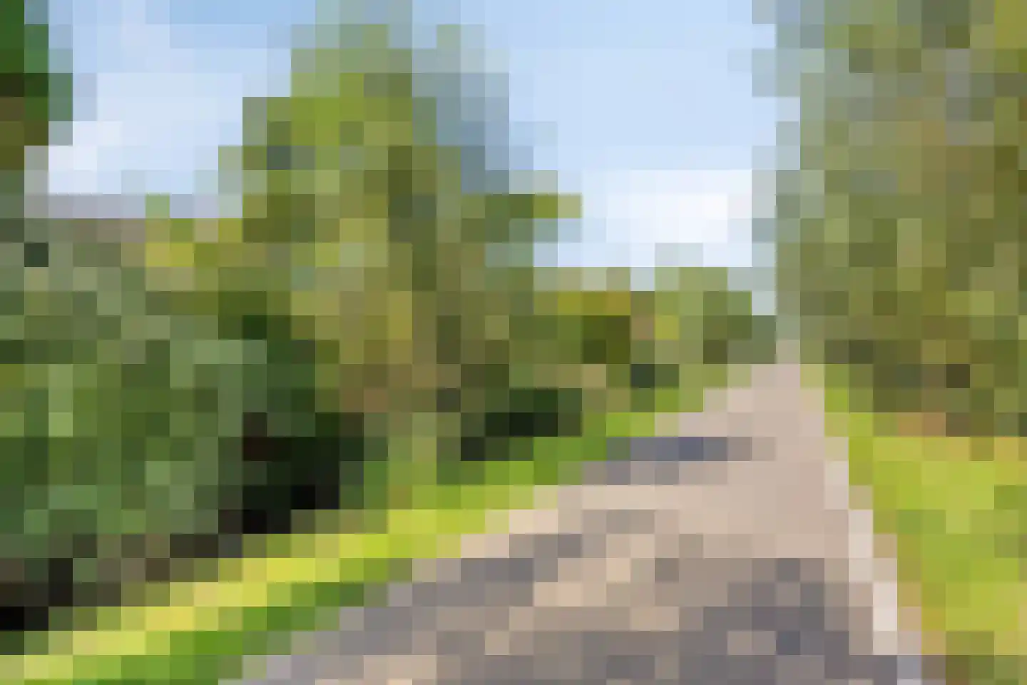 Bermweg 34 Rotterdam thumbnail 66
